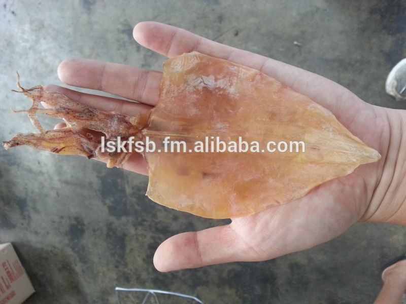 Hand holding a dried squid, with tentacles and a flat, triangular body. Brown-tan color.