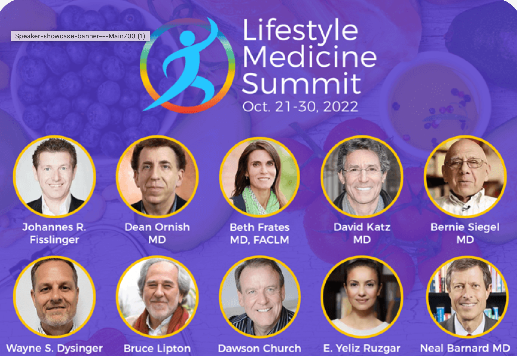 Dr. Frates was honored and delighted to be included in the Lifestyle Medicine Summit with year as she was alongside many pioneers including Dr. Dean Ornish, Dr. David Katz, and Dr. Wayne Dysinger.
