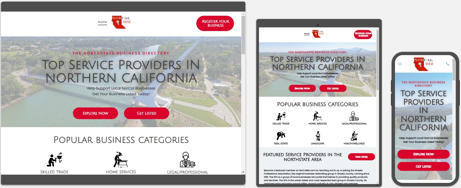 local seo google ranking specialist