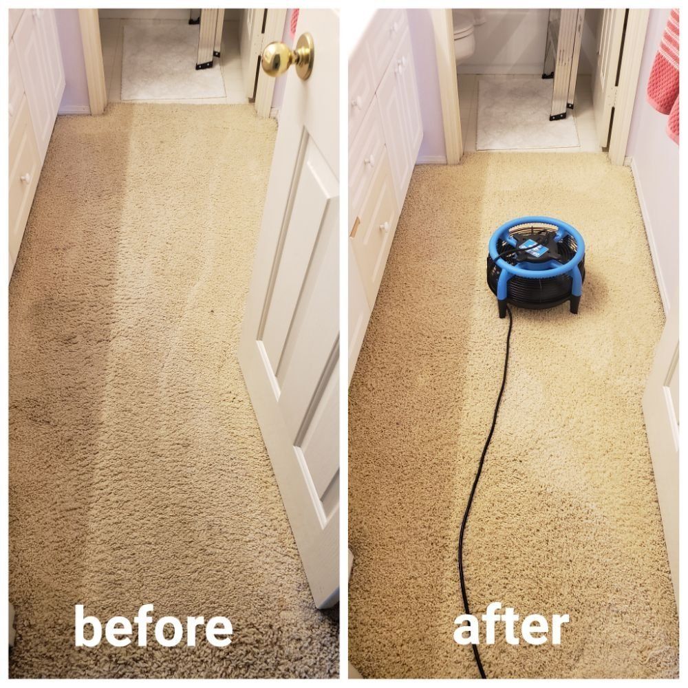View — Before And After Picture Of Carpet in Santa Clarita, CA