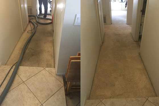 Carpet Cleaners — Cleaned Carpet On Tile in Santa Clarita, CA