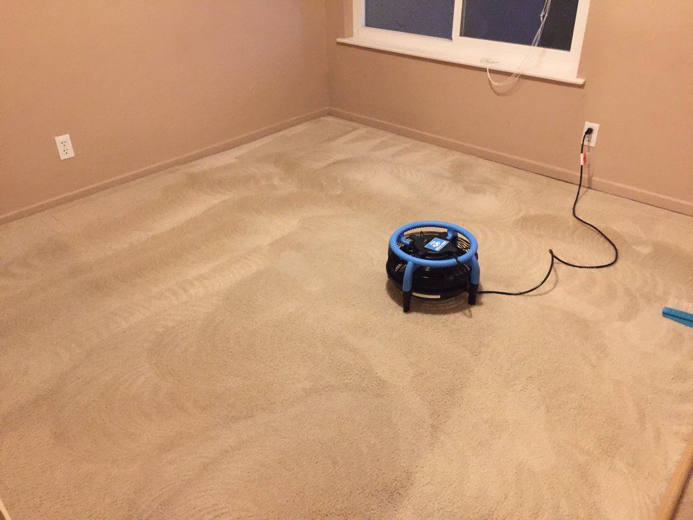 Tile Cleaning Service — Empty Room With Carpet in Santa Clarita, CA