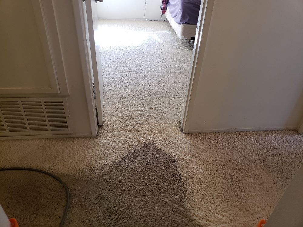 Carpet — Cream Color Carpet in Santa Clarita, CA