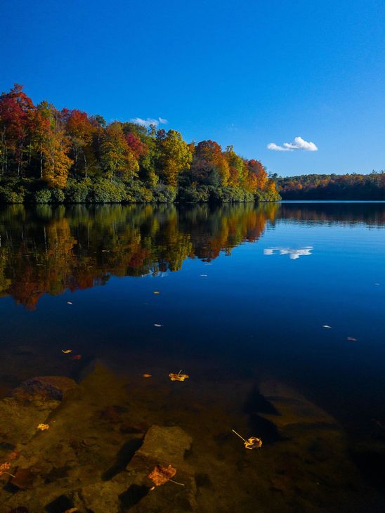 Autumn foliage reflecting on the calm waters of a serene lake along the Blue Ridge Parkway near Boone, Blowing Rock, and Banner Elk, with vibrant fall colors under a clear blue sky, representing the natural beauty of the Appalachian State University area.