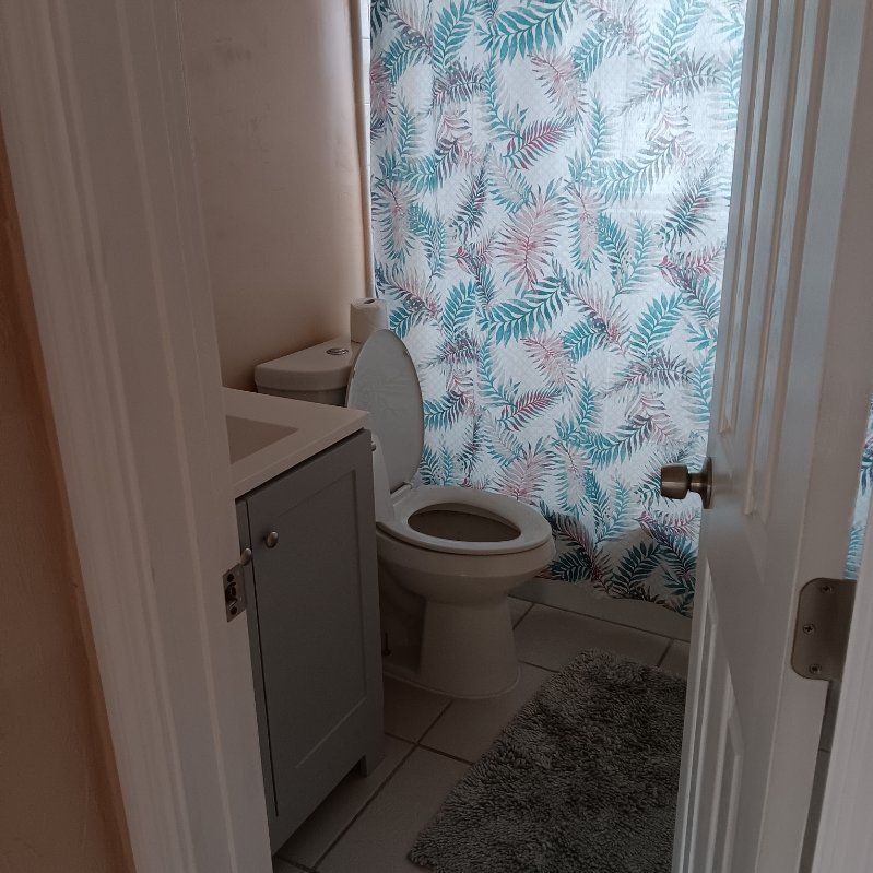 Small bathroom with toilet, vanity, and floral shower curtain.
