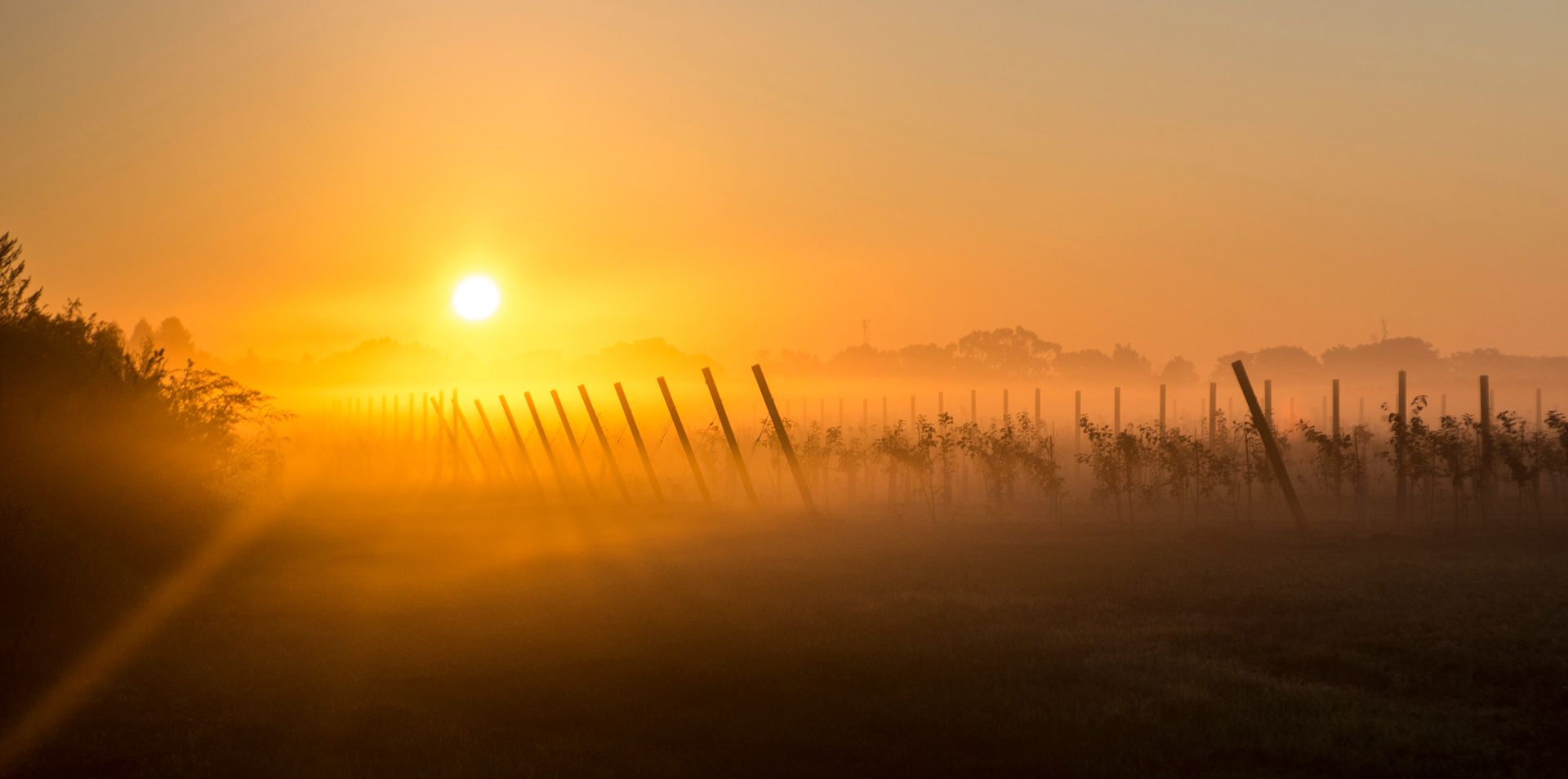Counselling for life challenges Edmonton