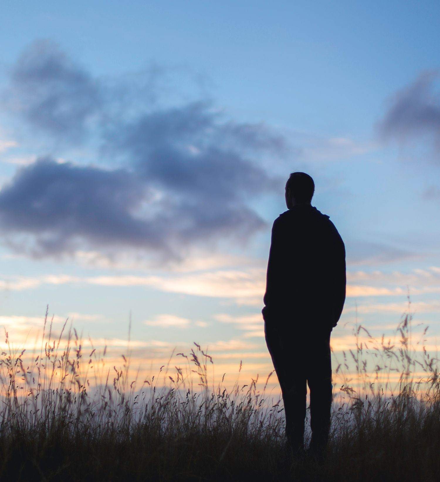 Life transitions counselling Edmonton