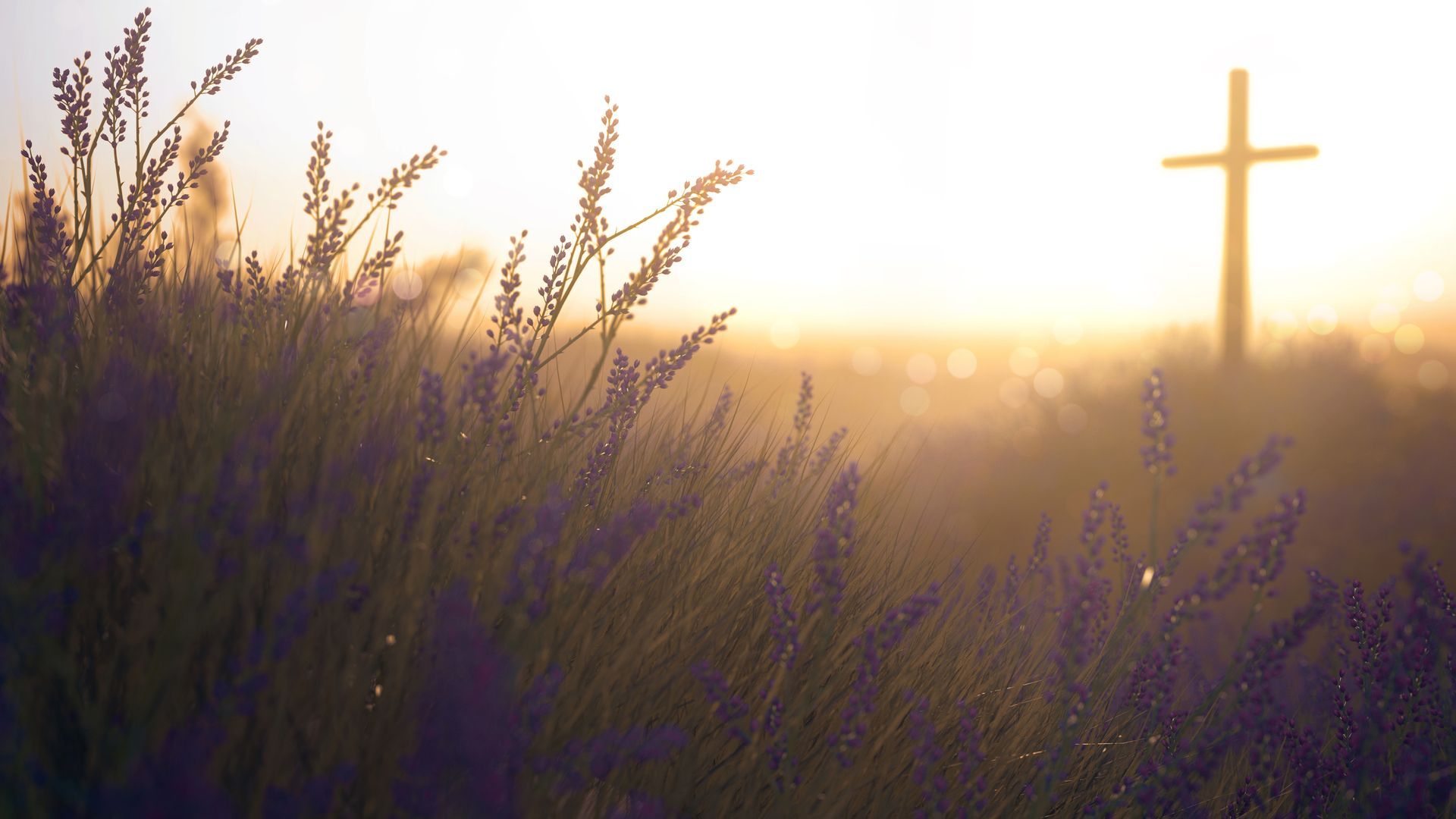 Christian counselling psychologist Edmonton