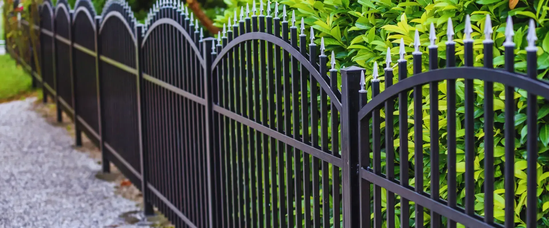 iron fence