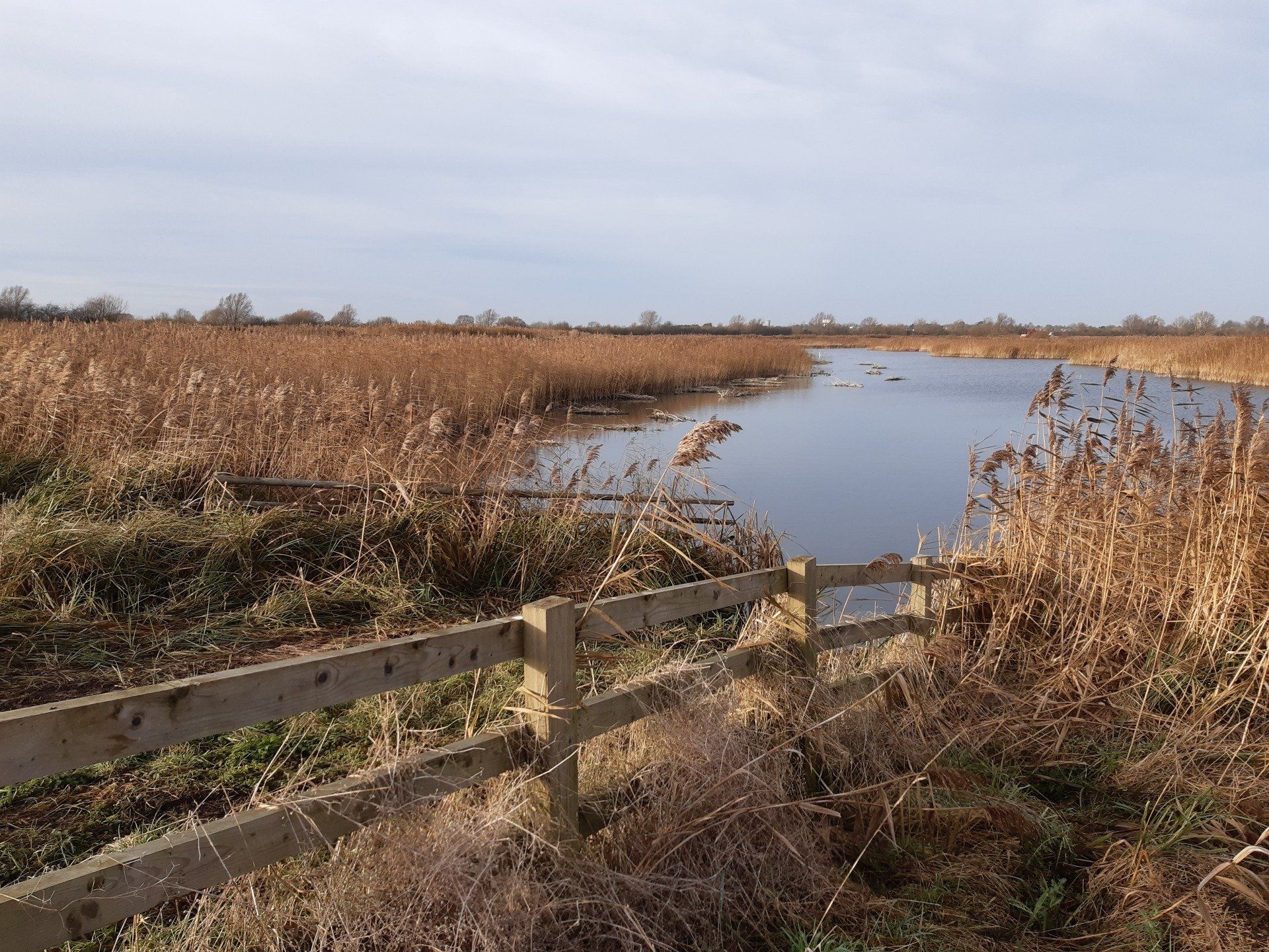 Supporting Wetland Restoration