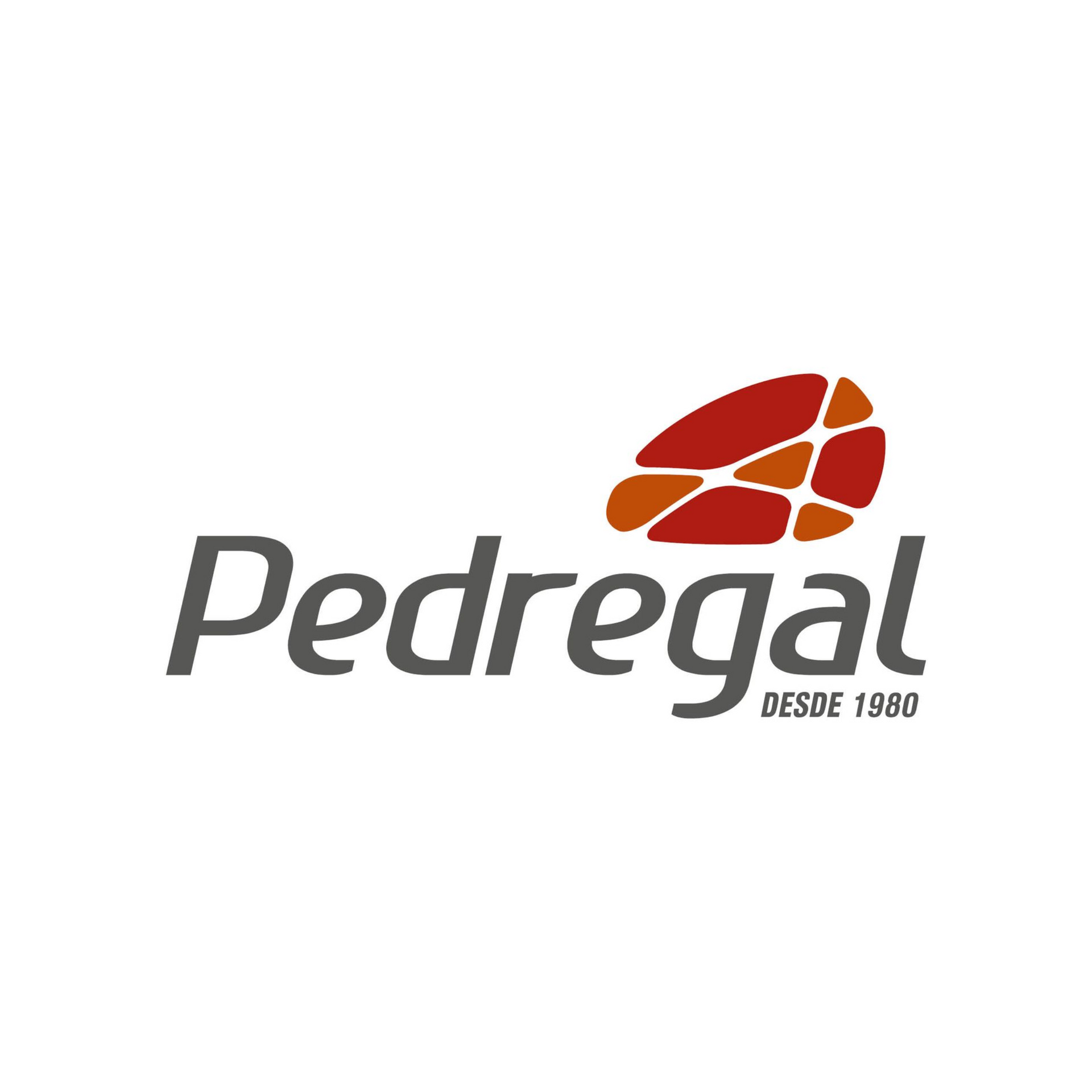 É um logotipo para uma empresa chamada pedregal.