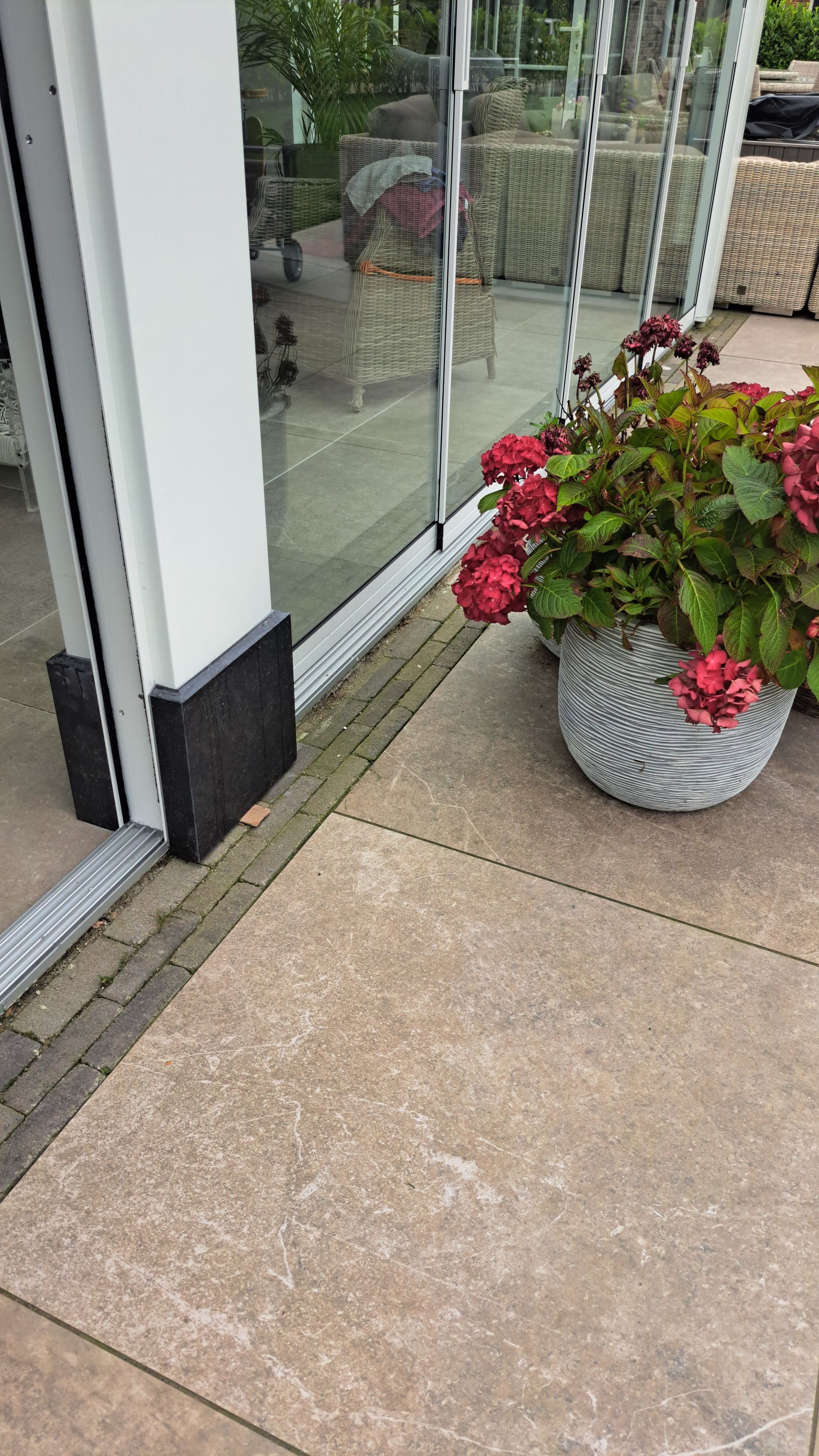 Een potplant staat op een terras naast een glazen schuifdeur.