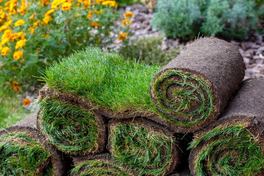 Rolls of turf are stacked on top of each other in a garden.