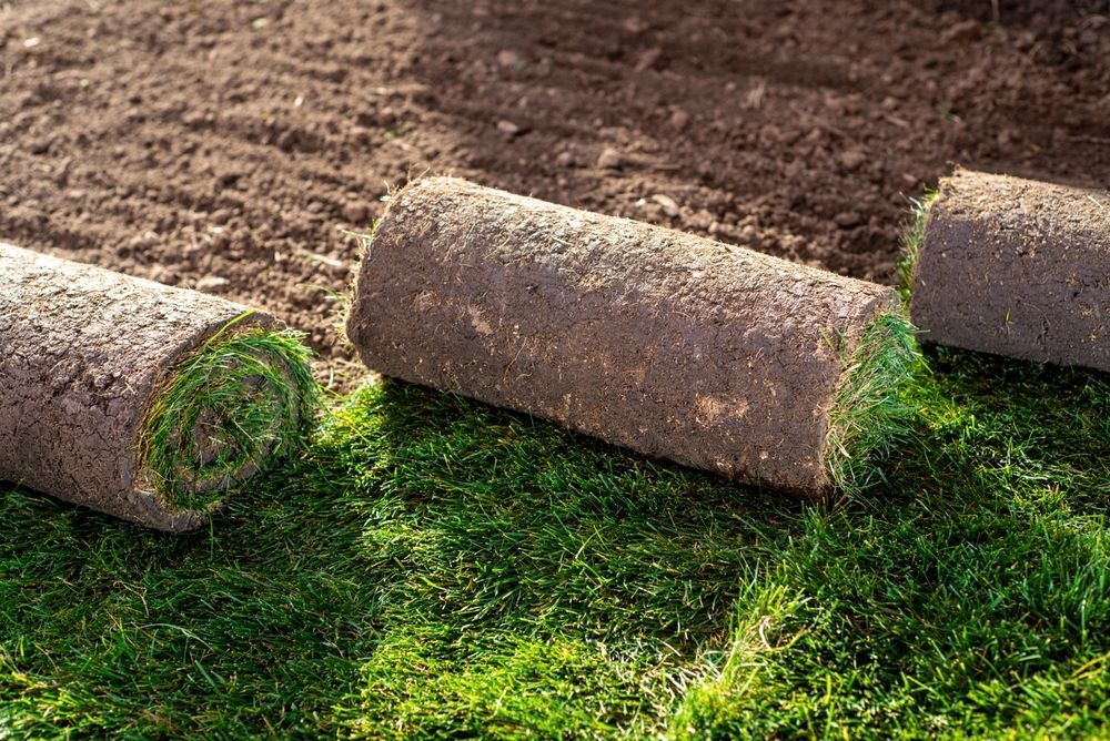 Three rolls of turf are sitting on top of a lush green lawn.