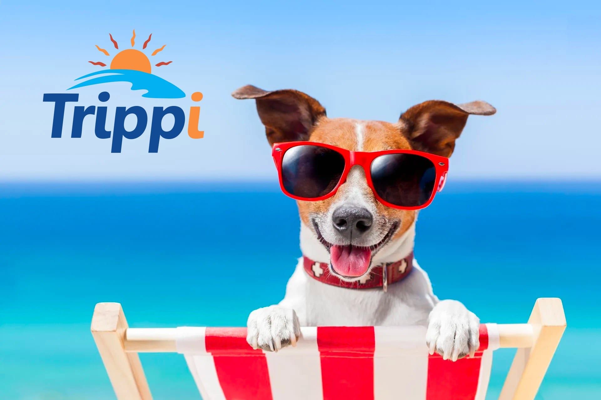 a dog wearing sunglasses sits on a beach chair in front of a trippi logo