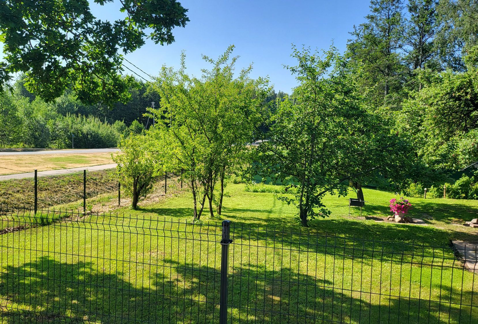 A fence surrounds a lush green field with trees in the background.