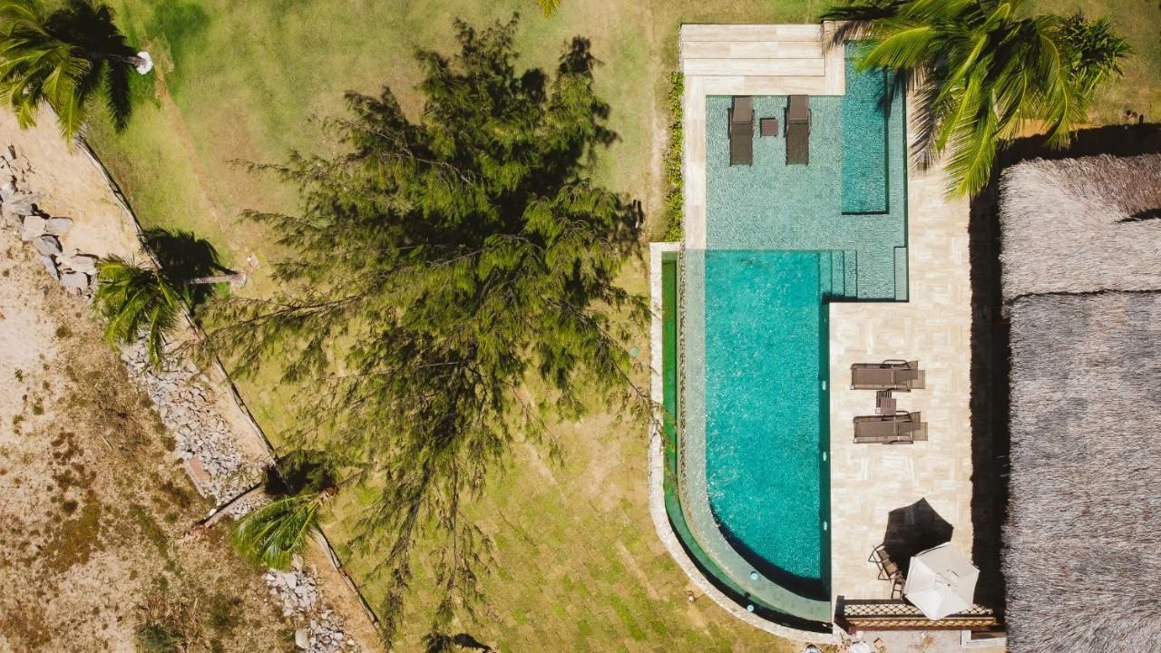 Uma vista aérea de uma piscina cercada por palmeiras.
