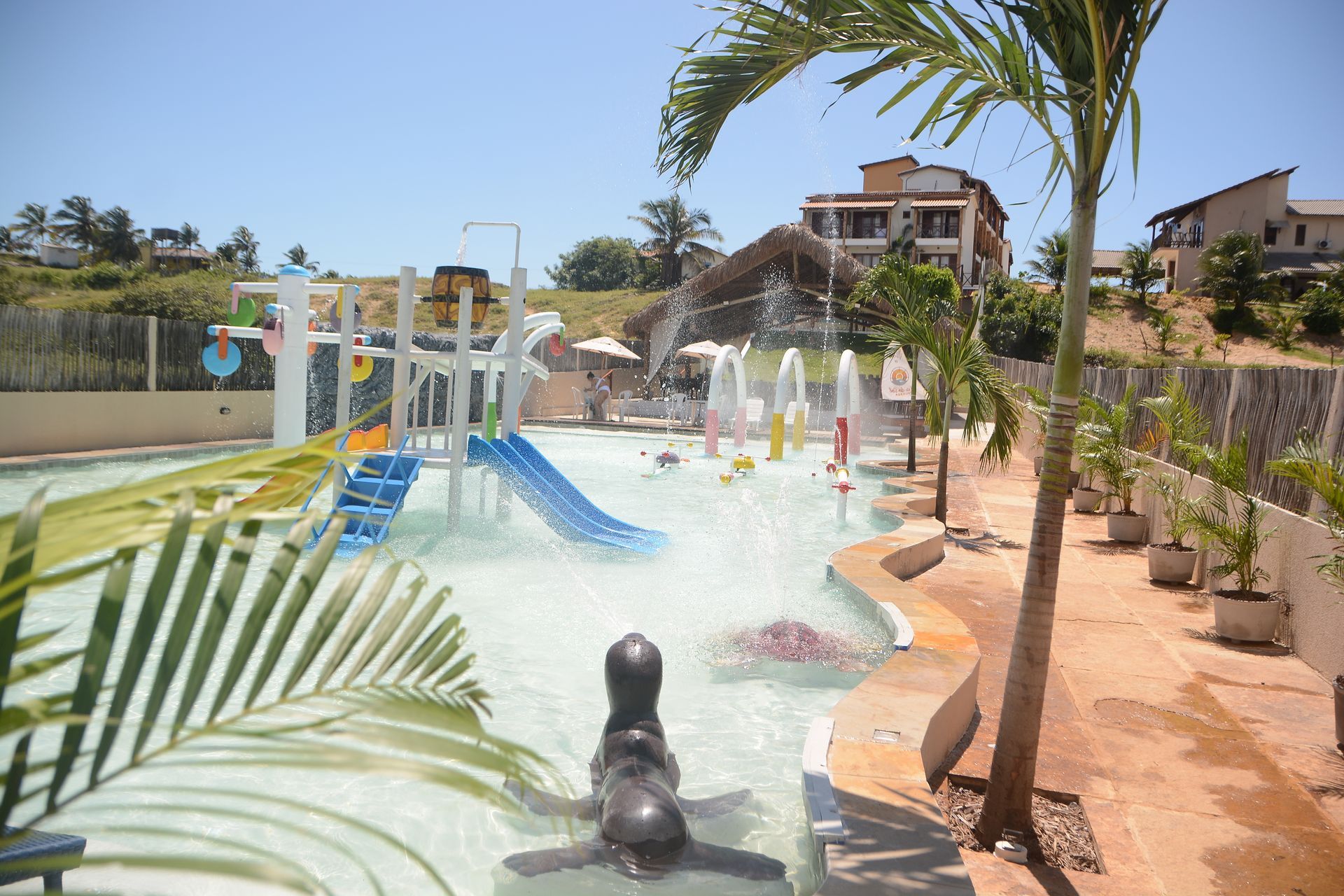 Uma grande piscina com escorregador e palmeiras