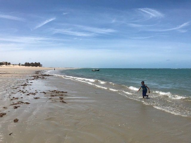 Uma pessoa está caminhando em uma praia perto do oceano.