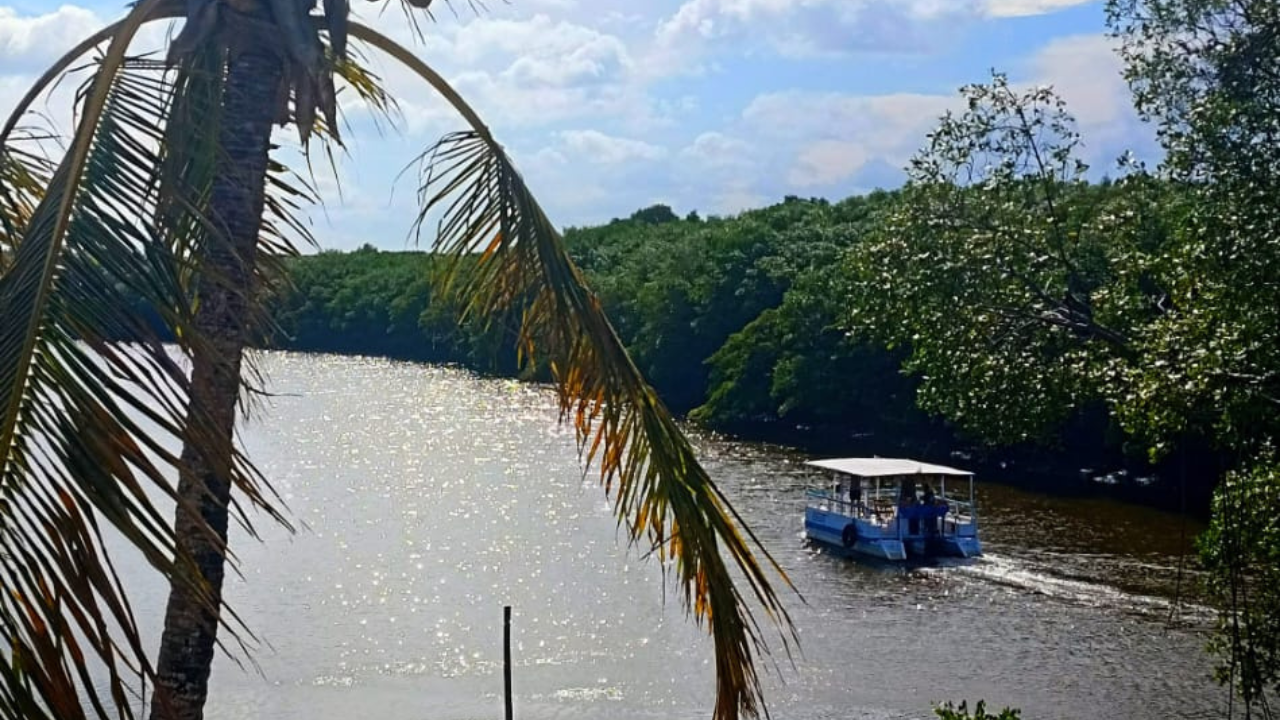 Passear emgrupo no rio com catamarã