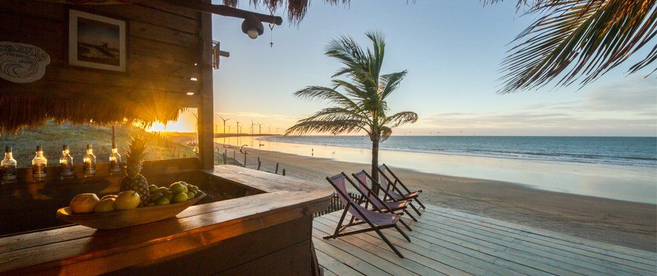 Há um bar na praia com cadeiras e uma palmeira.