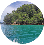 Há uma pequena ilha no meio do oceano cercada por árvores.