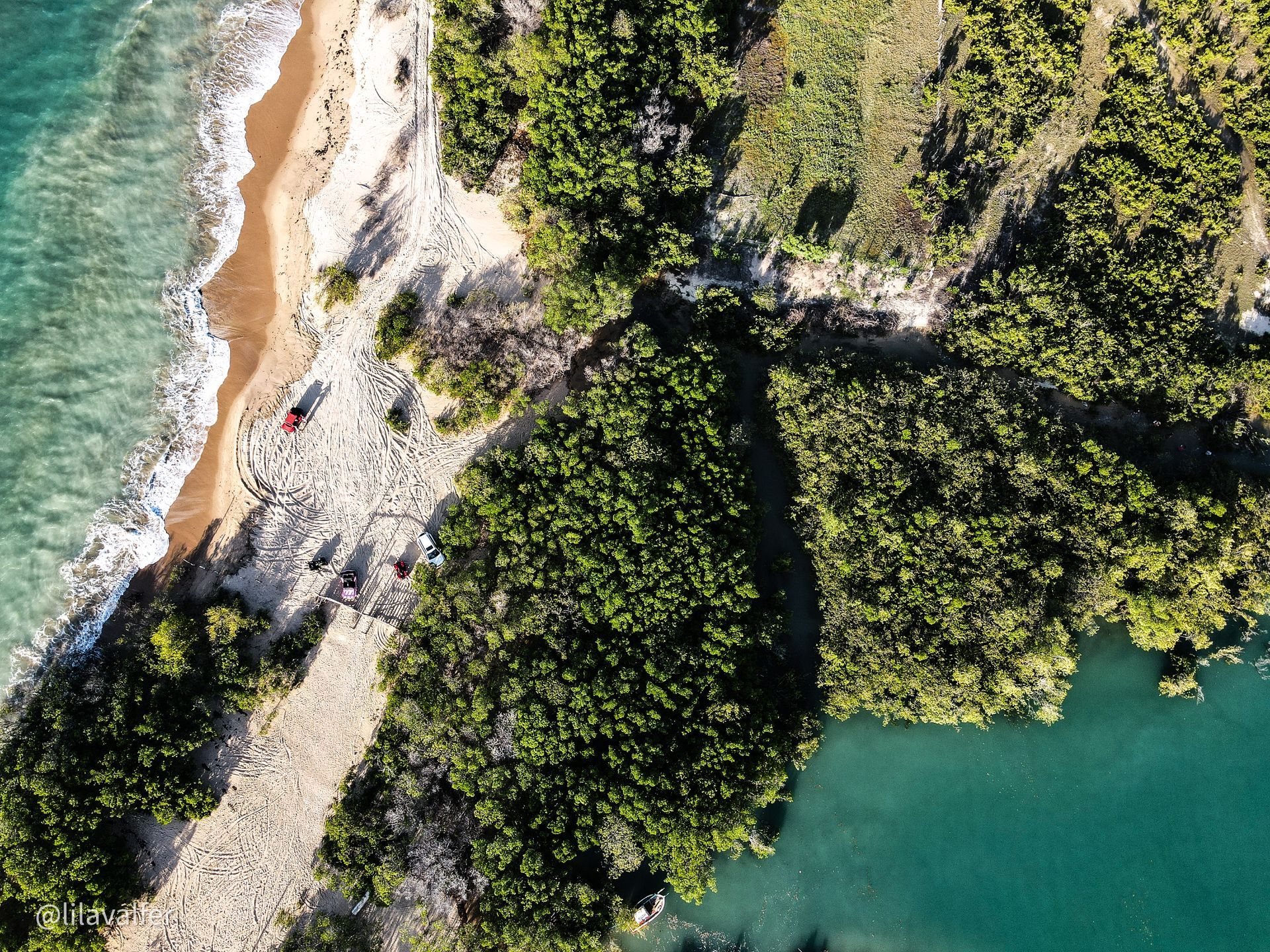 Uma vista aérea de uma praia com árvores e água