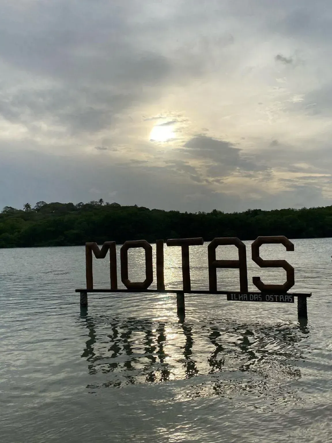 Uma placa que diz que moitas está flutuando na água