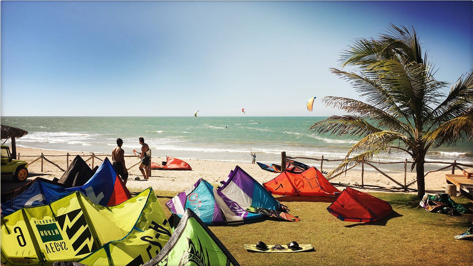 Um grupo de pipas está sentado na grama perto da praia.