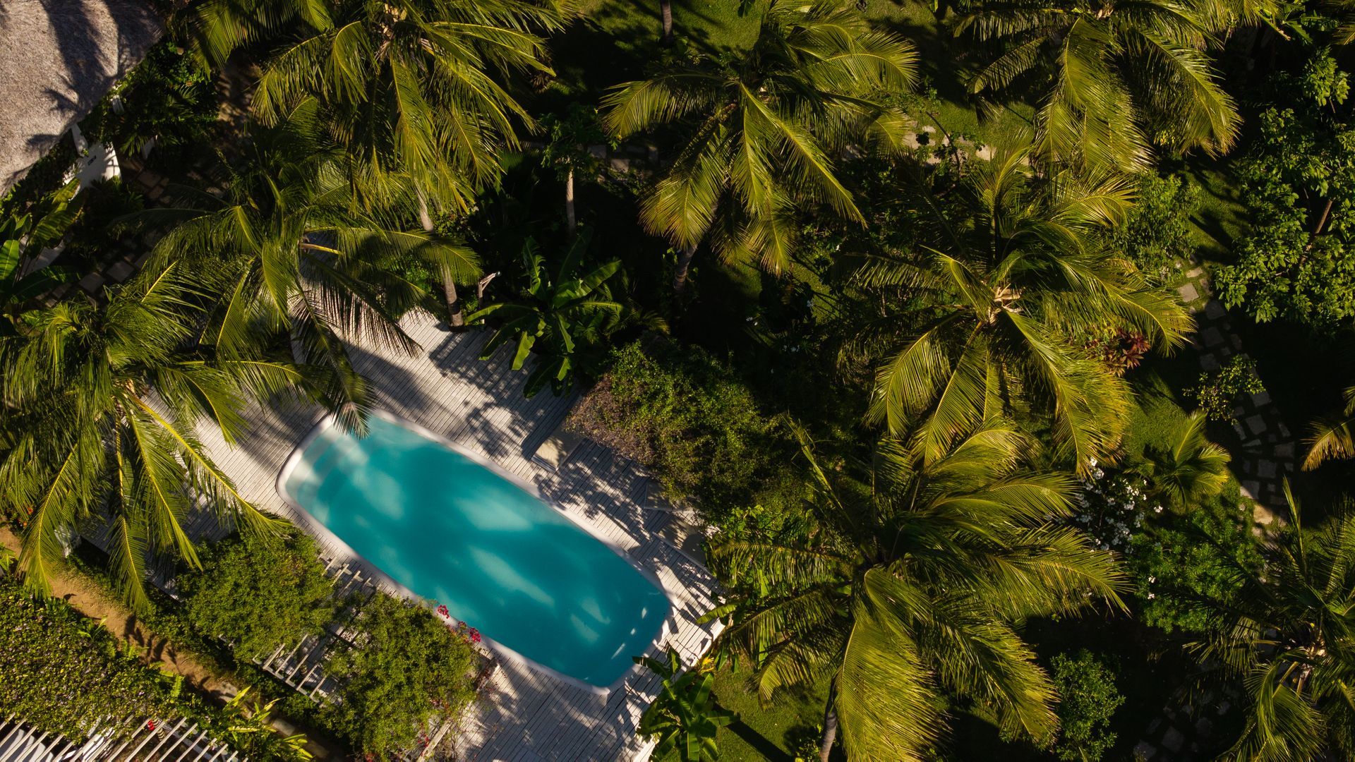 País Tropical