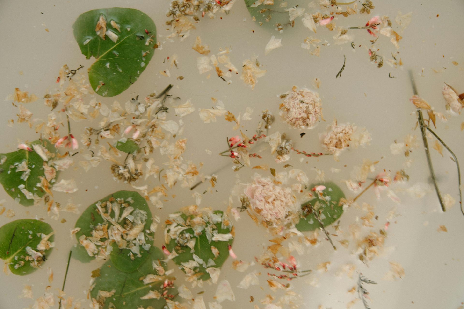 Desperte os sentidos com um banho de ervas (ayuverda)