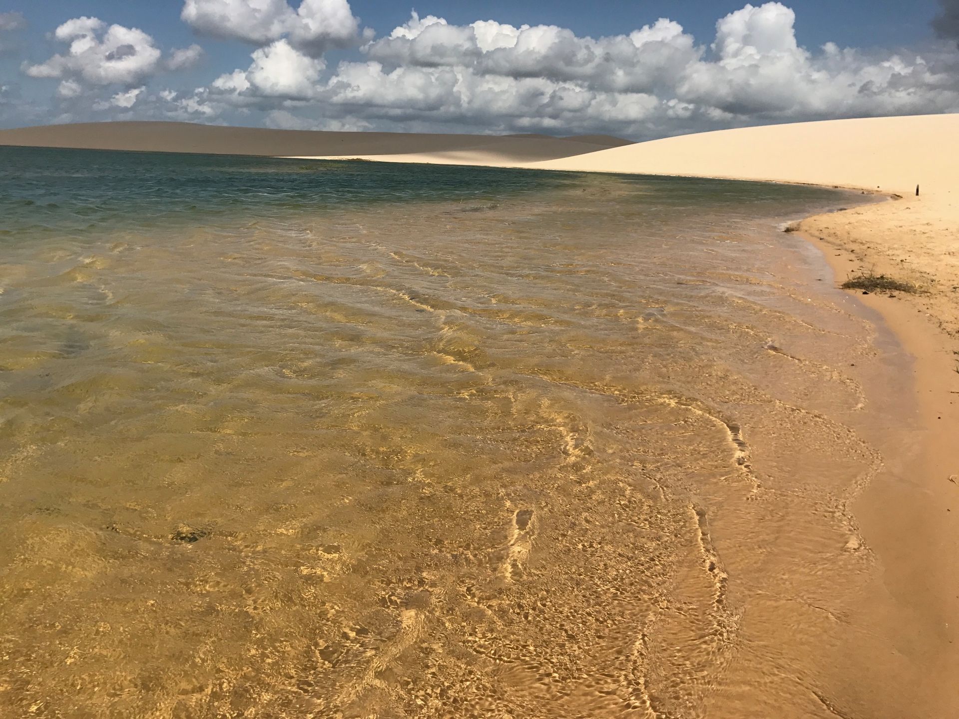 Uma praia arenosa com um corpo de água e uma duna de areia ao fundo.