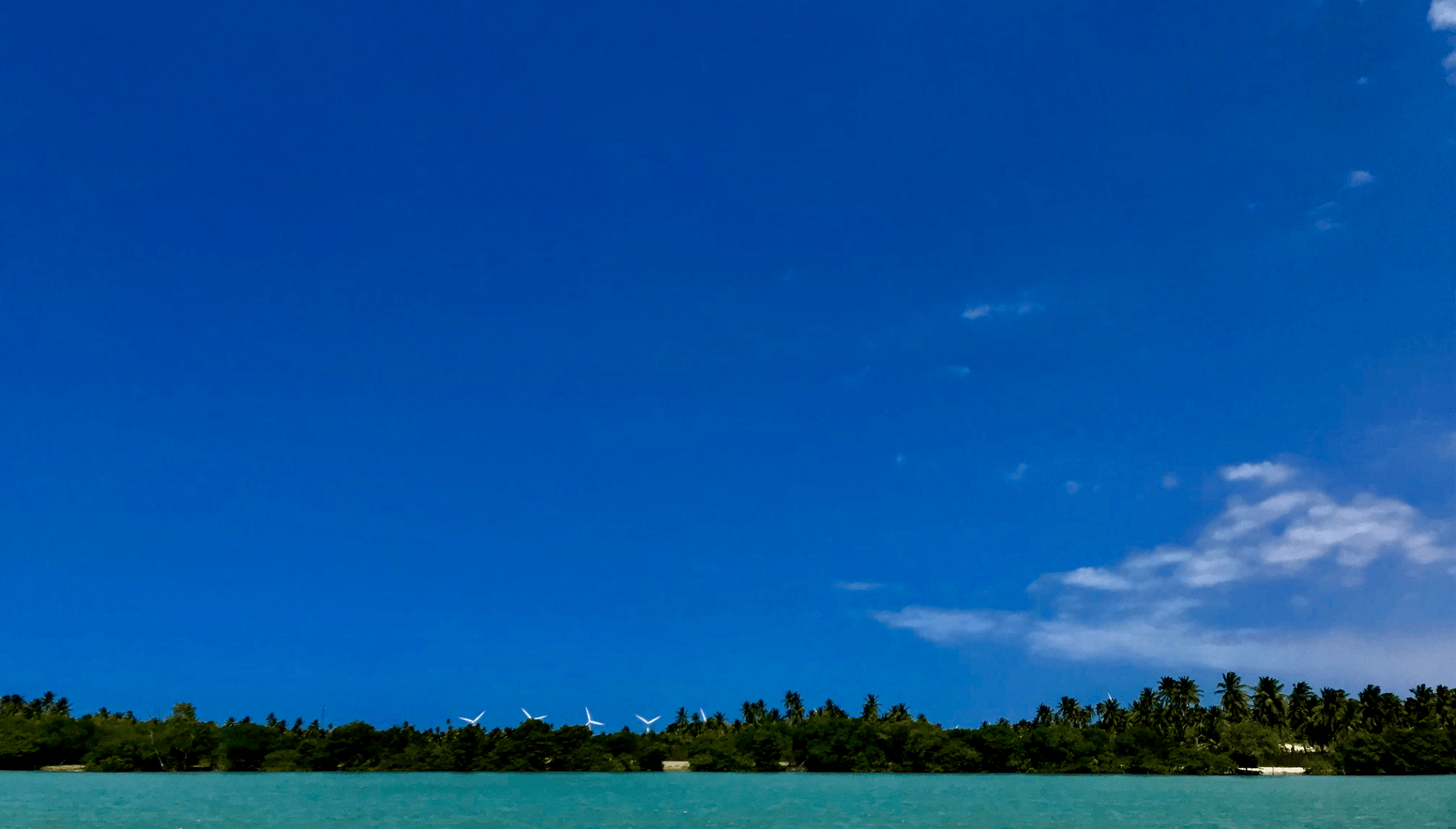 Um grande corpo de água com árvores na costa e um céu azul ao fundo.