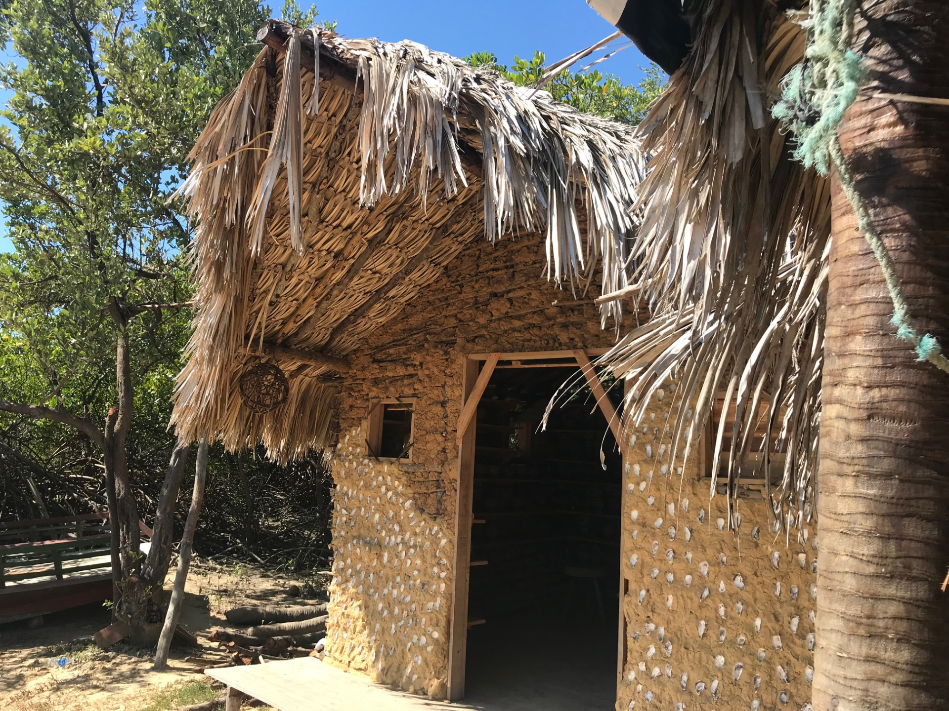 Uma pequena cabana com telhado de palha é cercada por árvores.