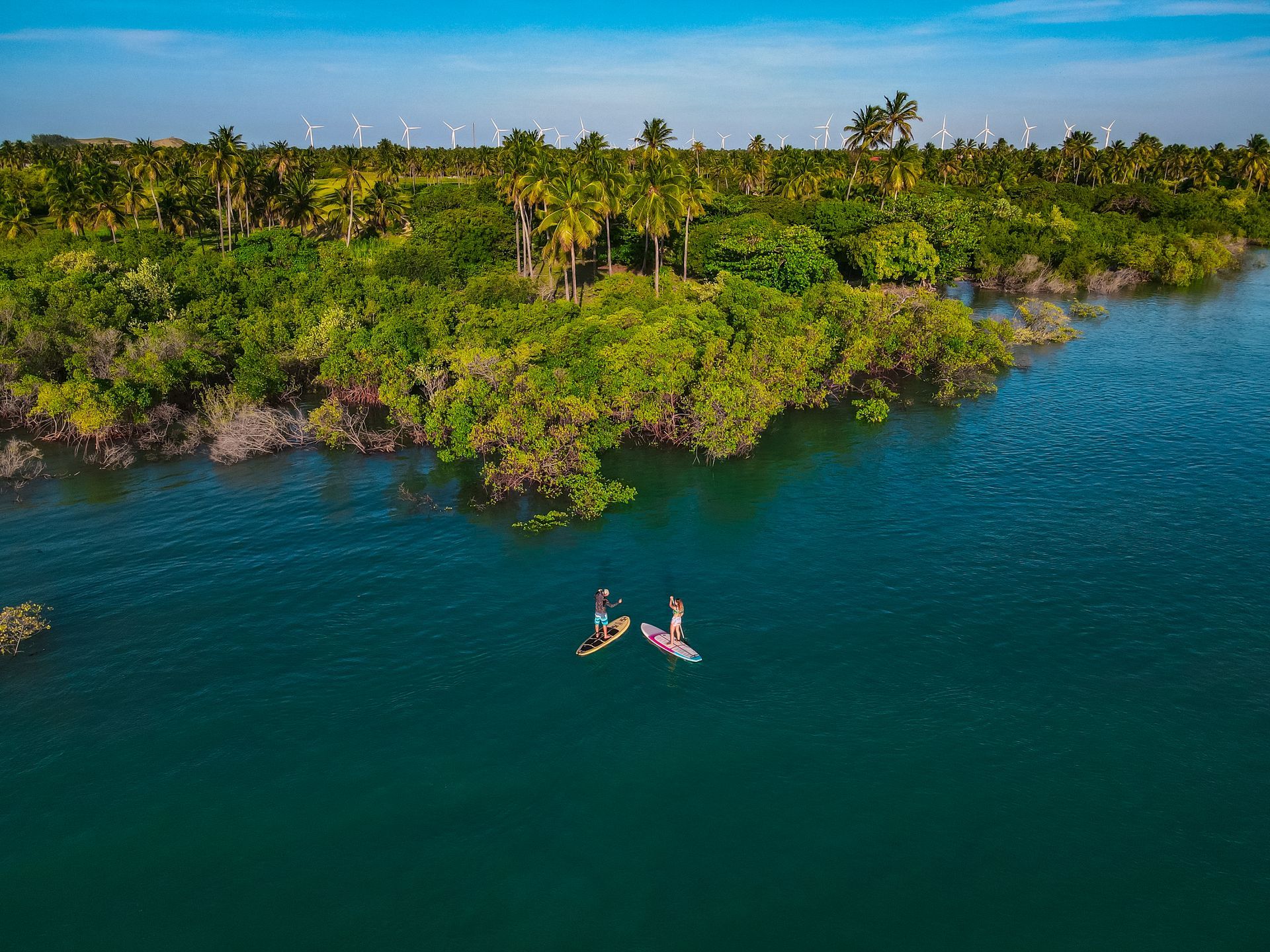 Algumas pessoas estão flutuando em uma prancha de remo na água.