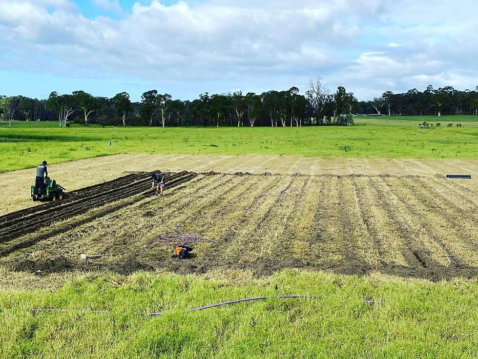A Man Is Plowing A Field With A Tractor — Bennett's Environmental In Southern Highlands, NSW