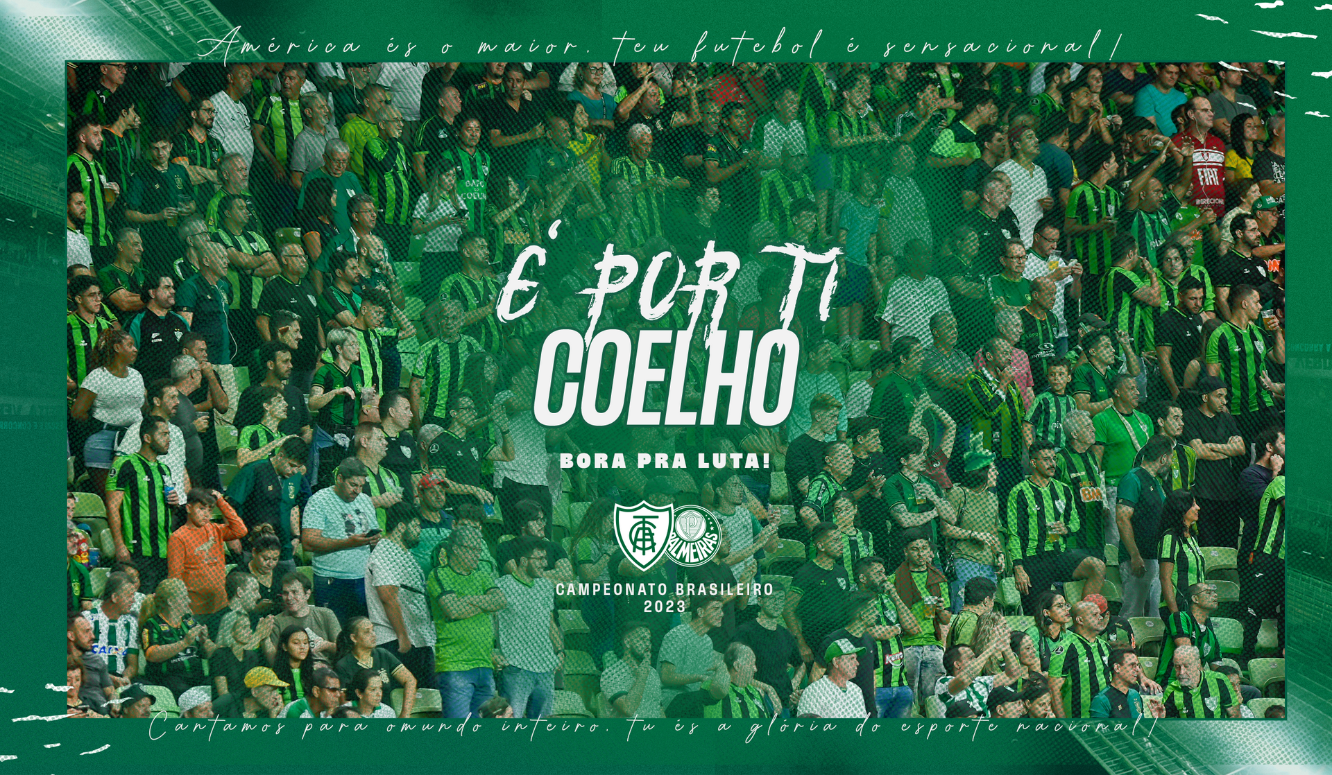 Bora Pra Luta! Saiba sobre a venda de ingressos para o jogo contra o Palmeiras