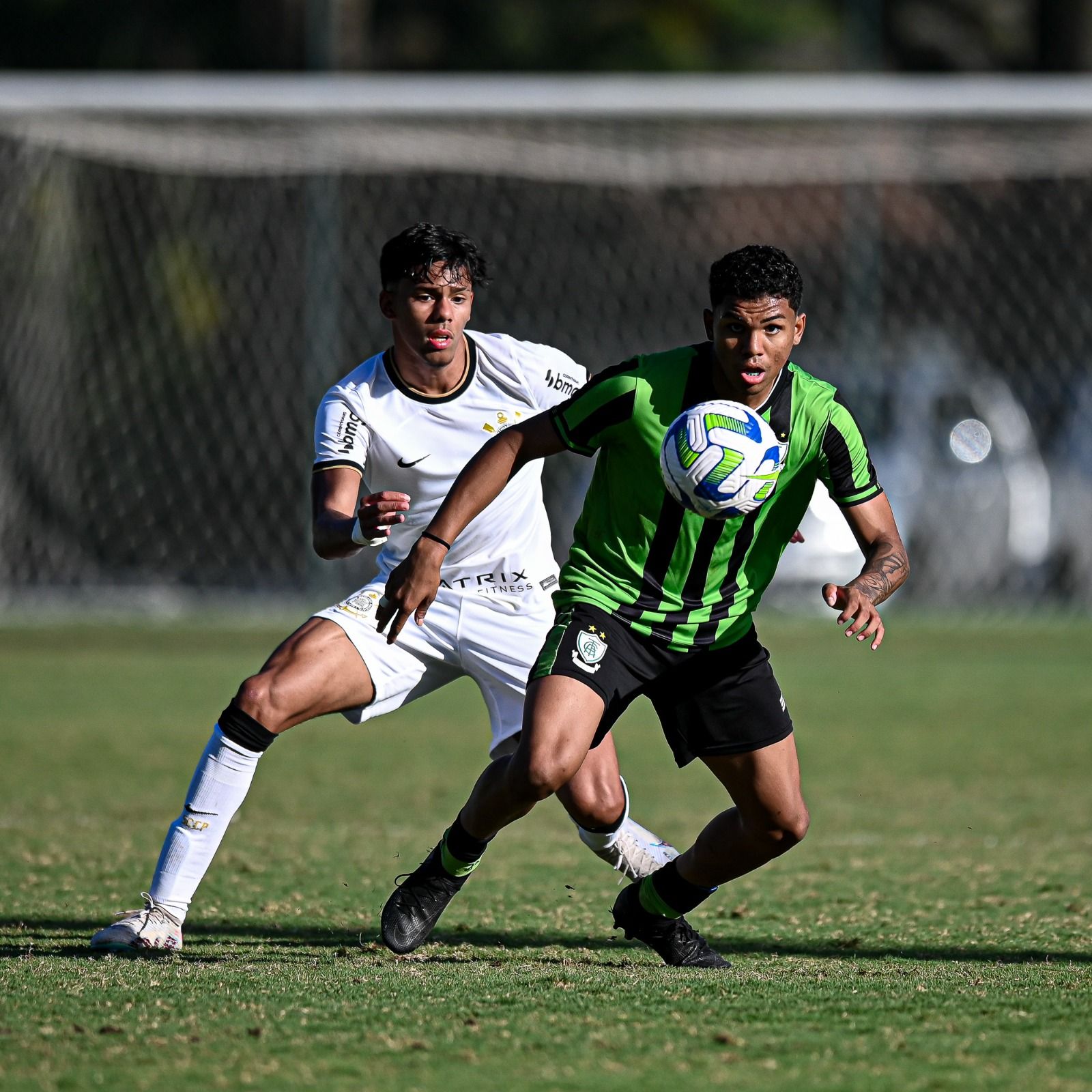 Coelhãozinho Sub-17 é superado pelo Corinthians