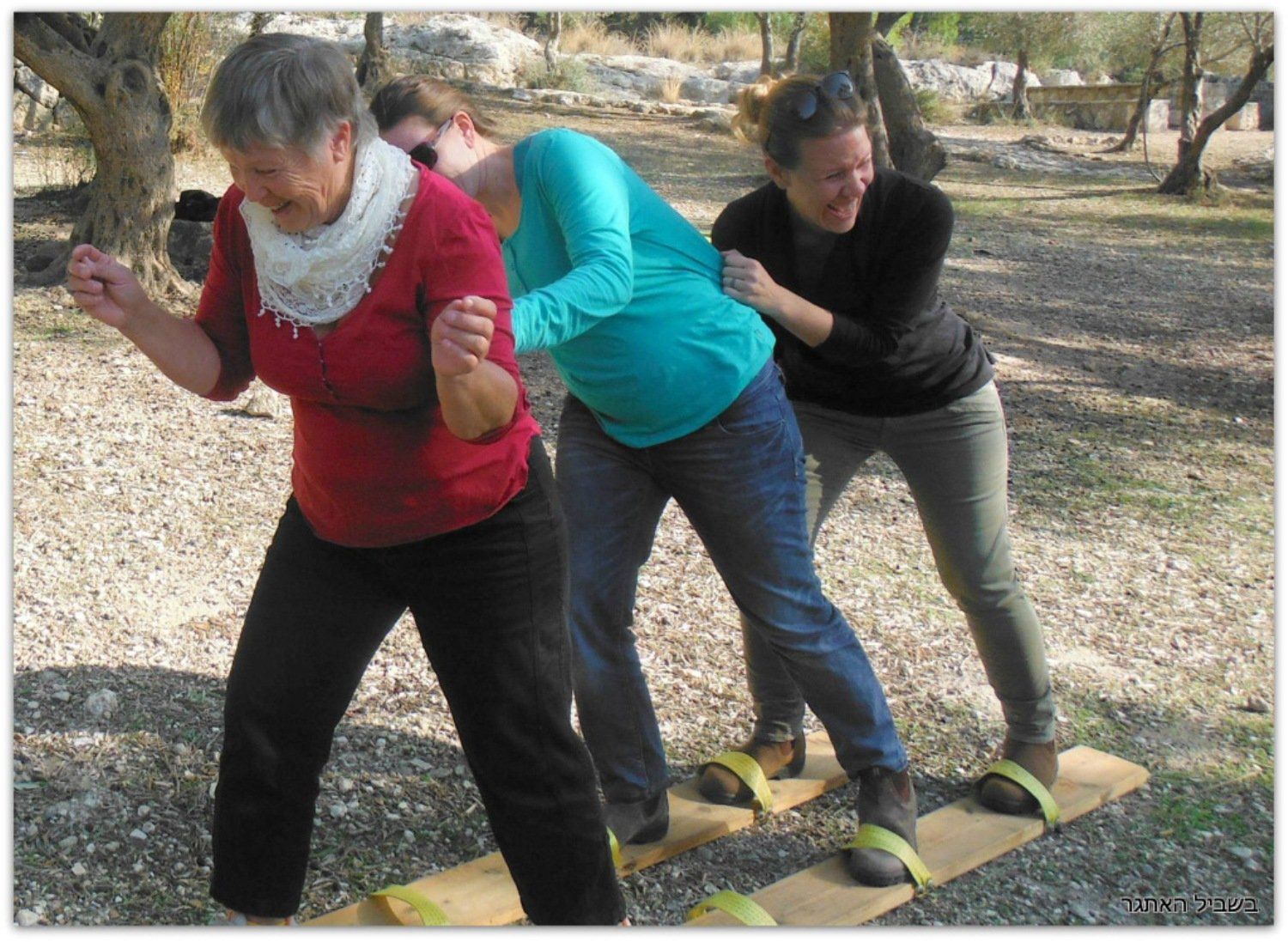 קבוצת נשים משחקת משחק כלונסאות