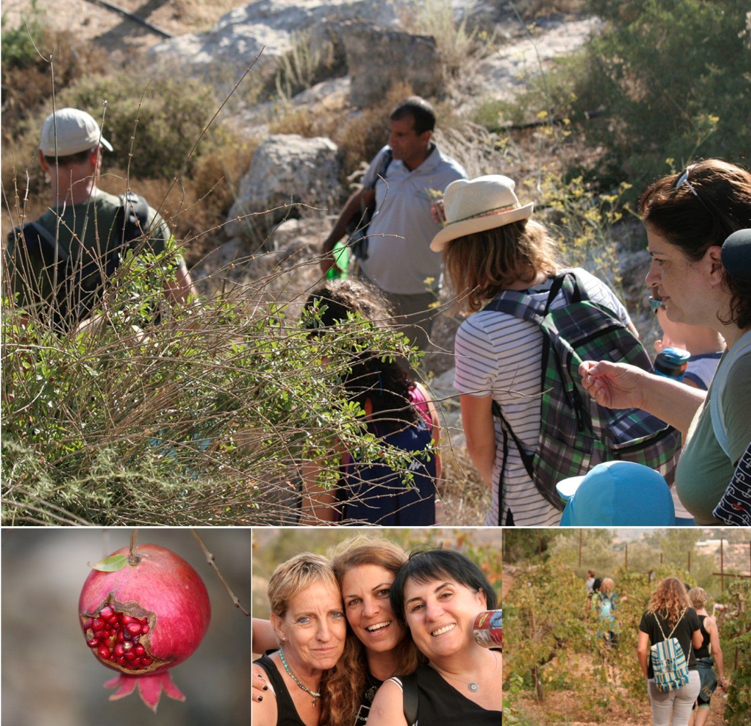 קבוצת אנשים עומדת בשדה עם רימון בחזית