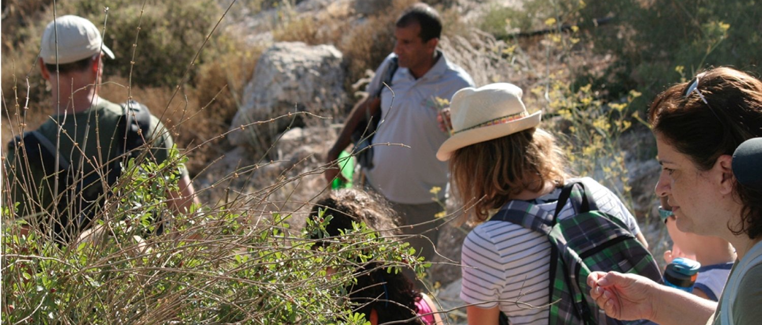 קבוצה של אנשים עומדת ביער ומסתכלת על צמחים.