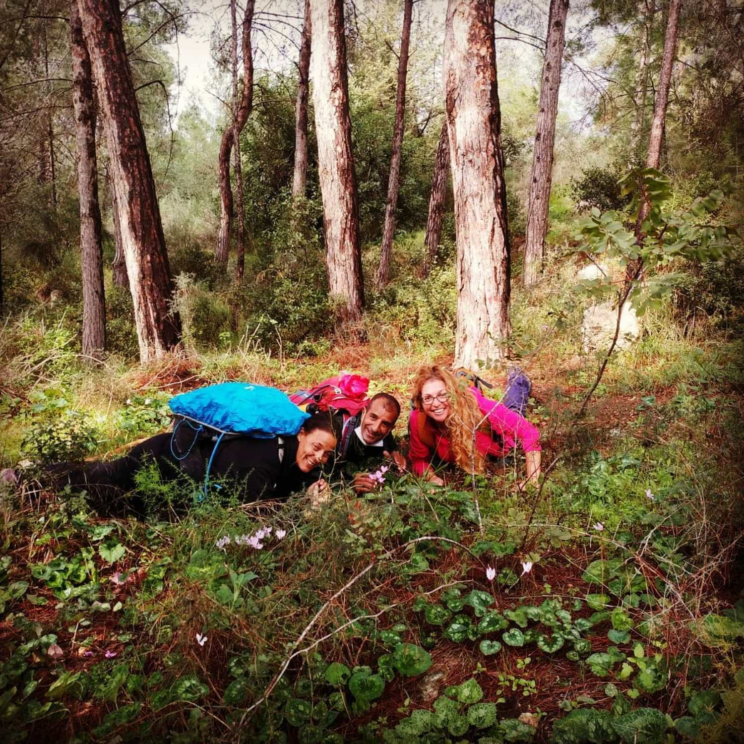 קבוצה של אנשים שוכבת על האדמה ביער.