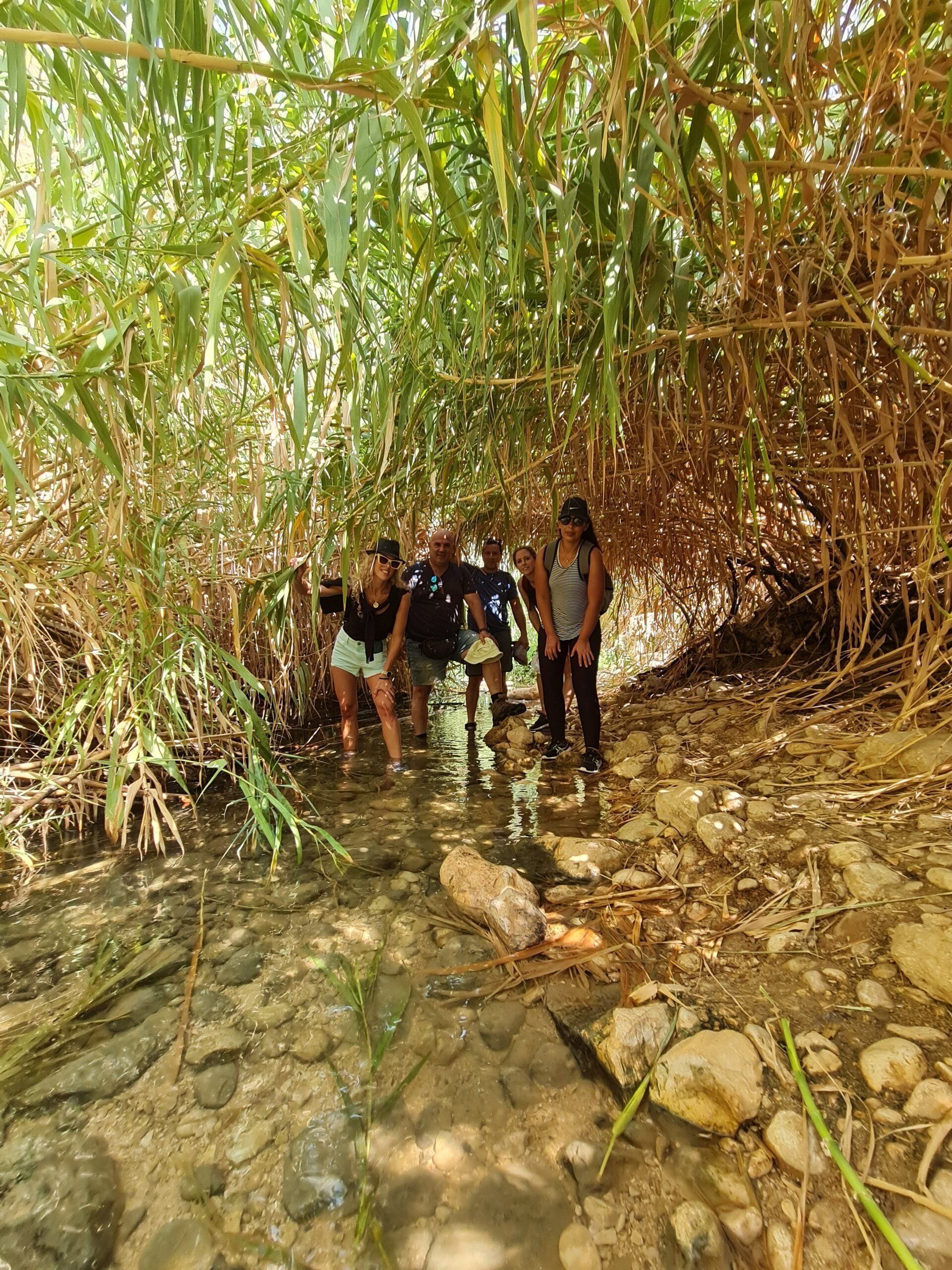 קבוצת אנשים צועדת בנחל ביער.