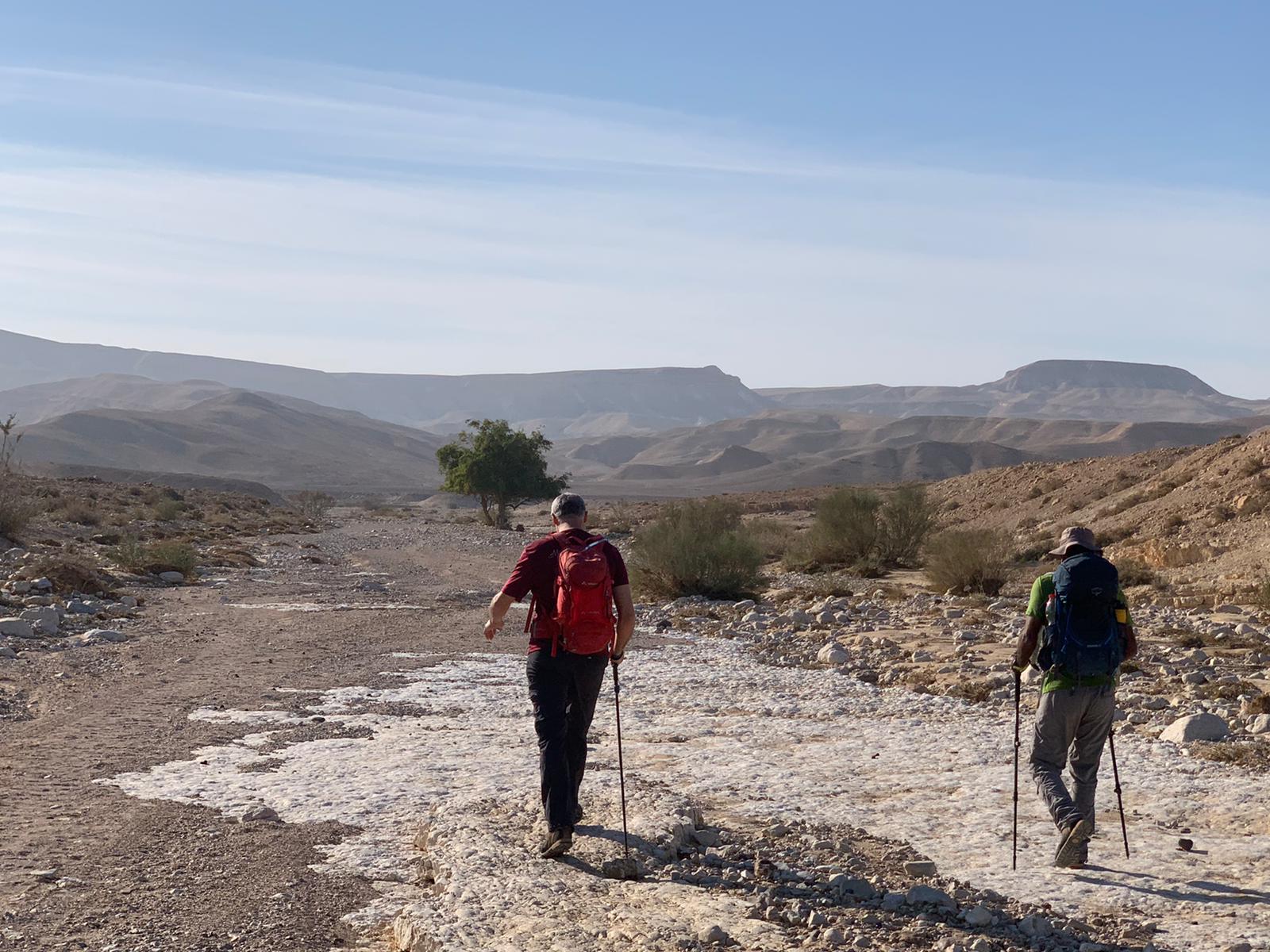 שני אנשים הולכים במדבר עם מוטות הליכה.