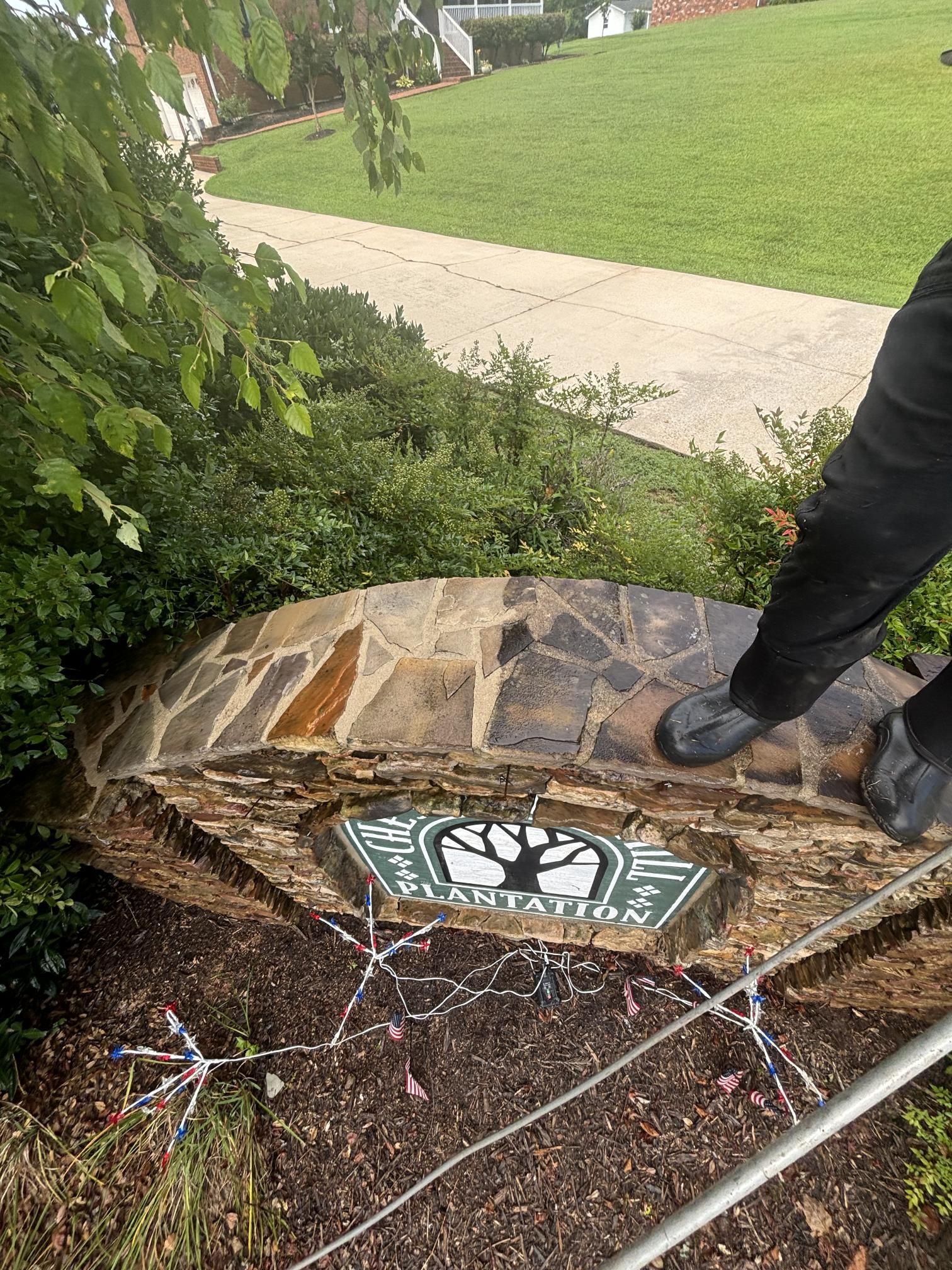 A person is standing on a stone staircase in a yard.