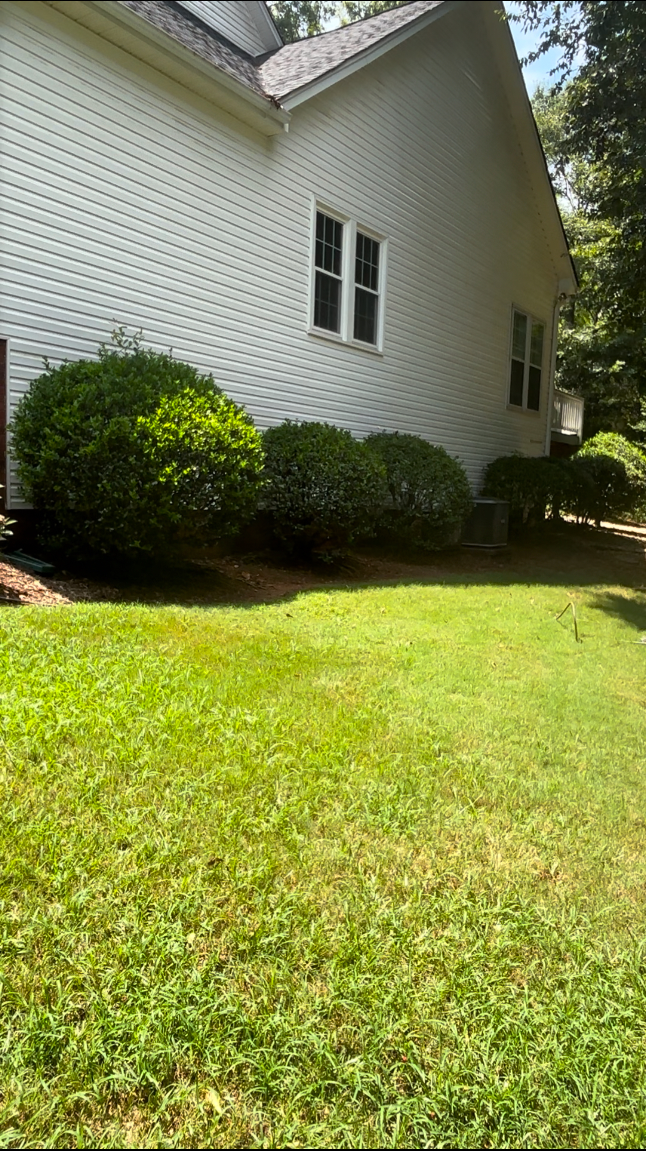 A white house with a lush green lawn in front of it.