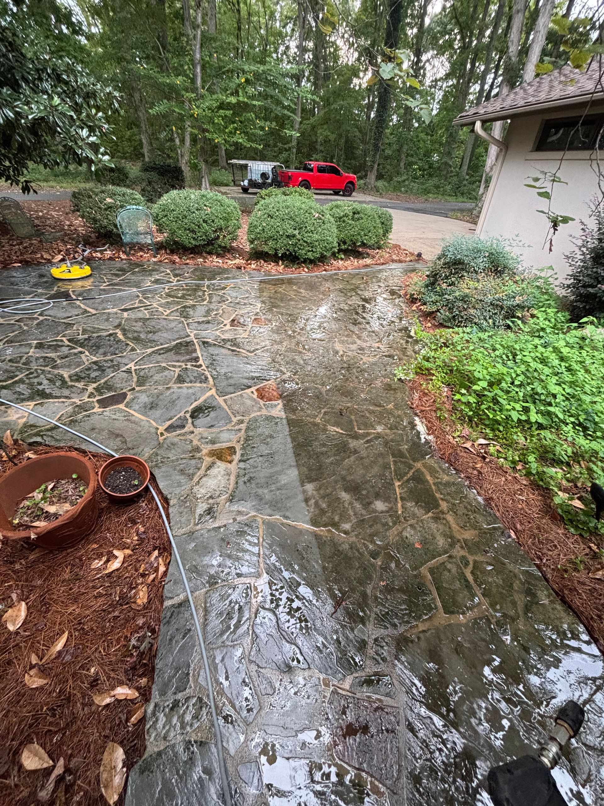Wet flagstone patio with surrounding shrubs and a red car in the background.