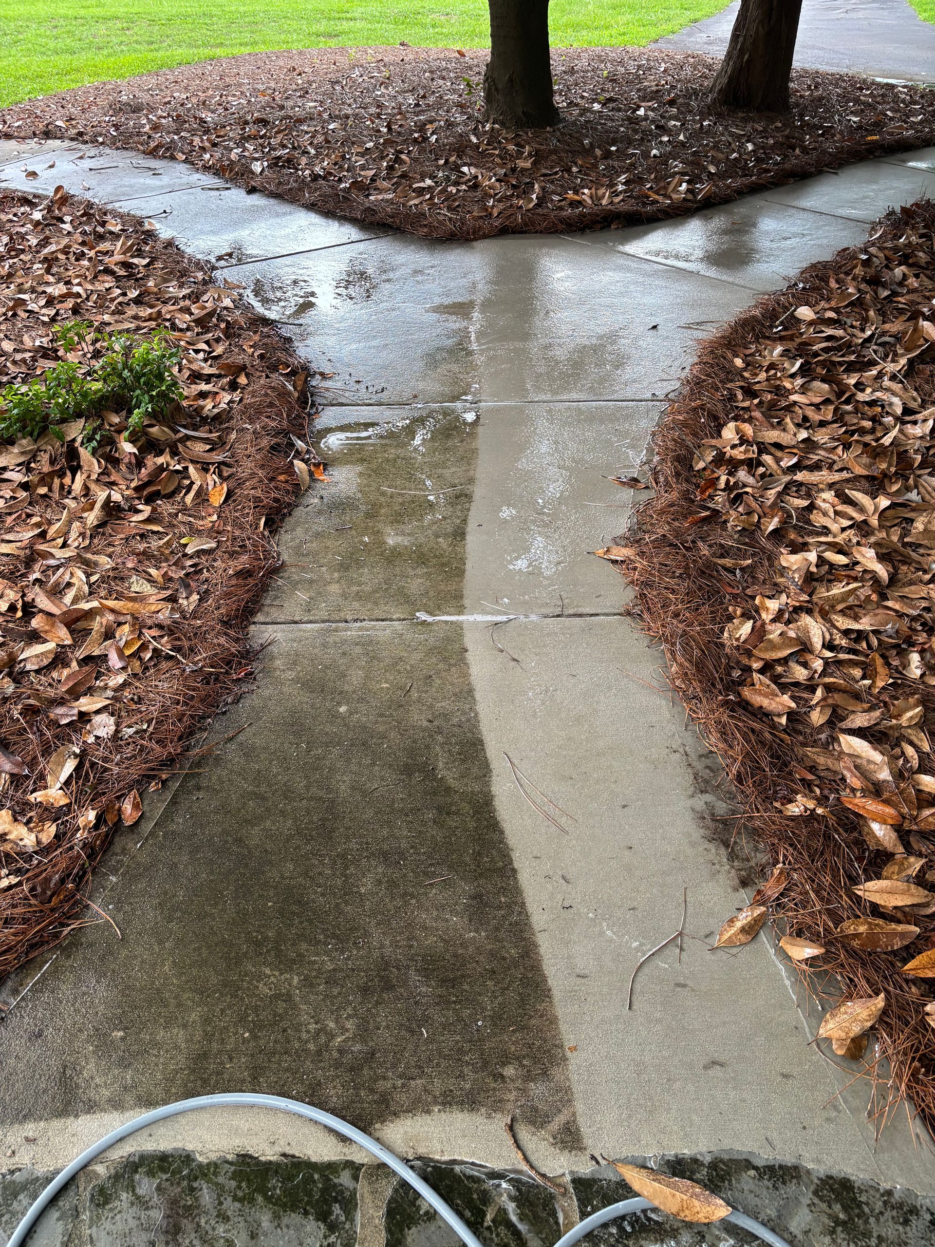 Power-washed concrete walkway, half clean and half dirty, flanked by brown mulch.