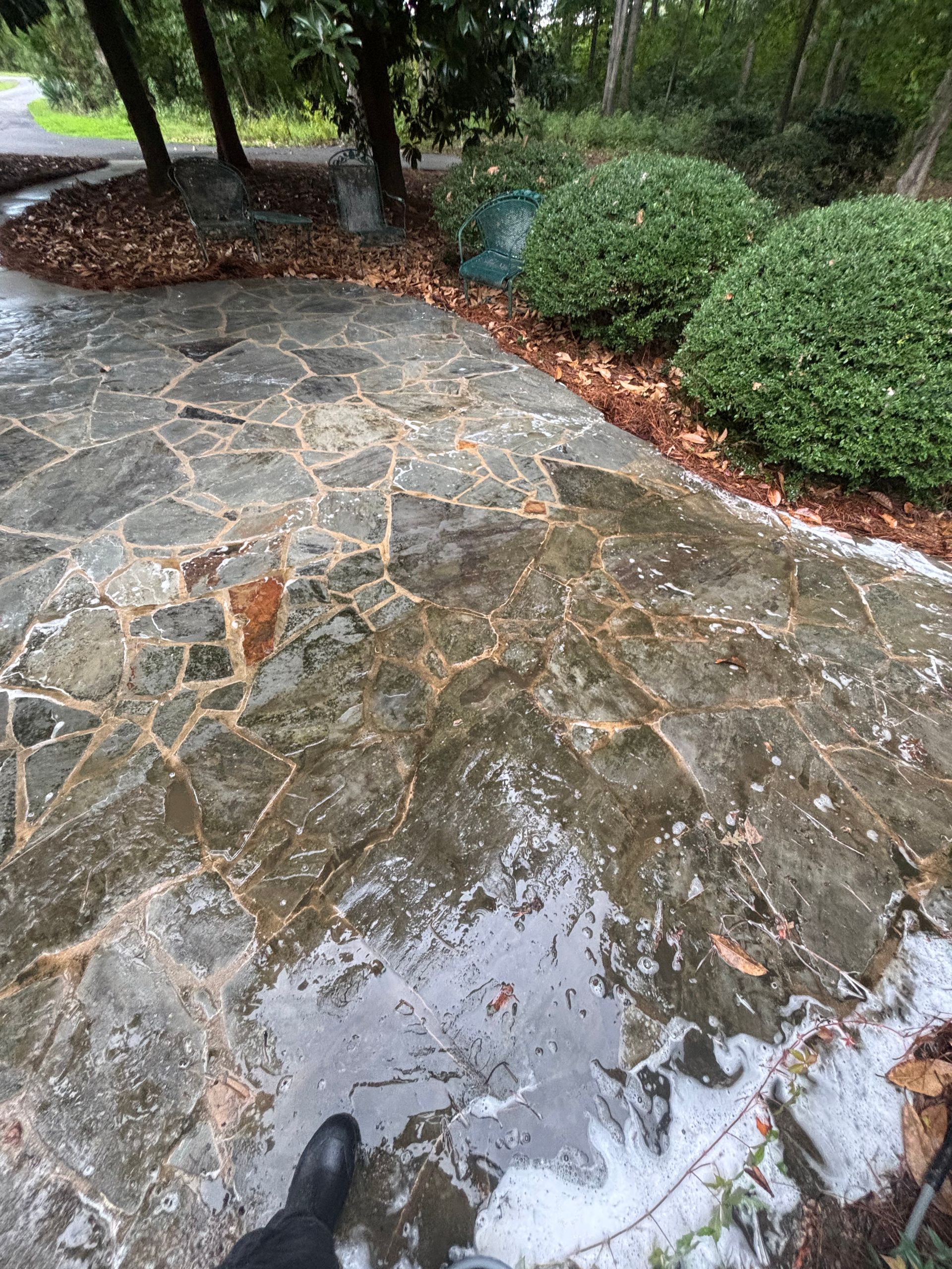 Wet flagstone patio with a person's leg and boot visible. Green bushes border the right side.