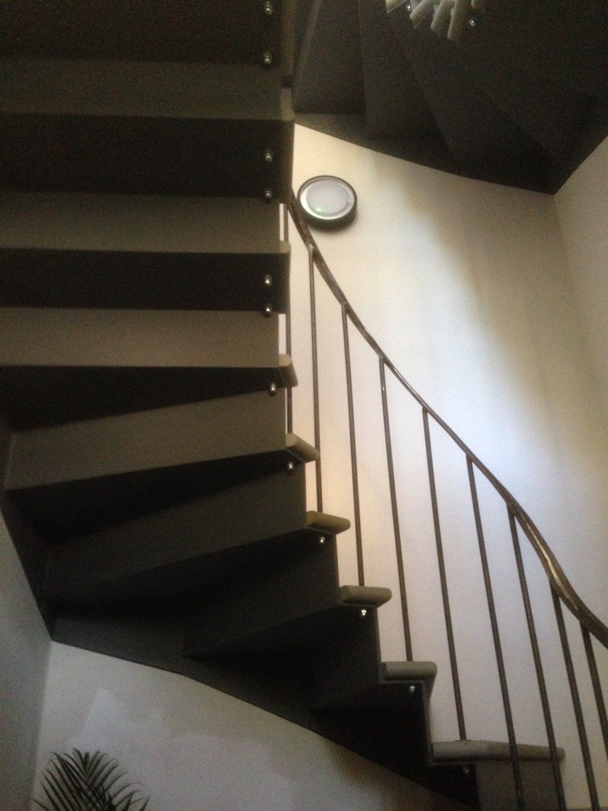 Spiral staircase with dark wooden steps and a metal railing.